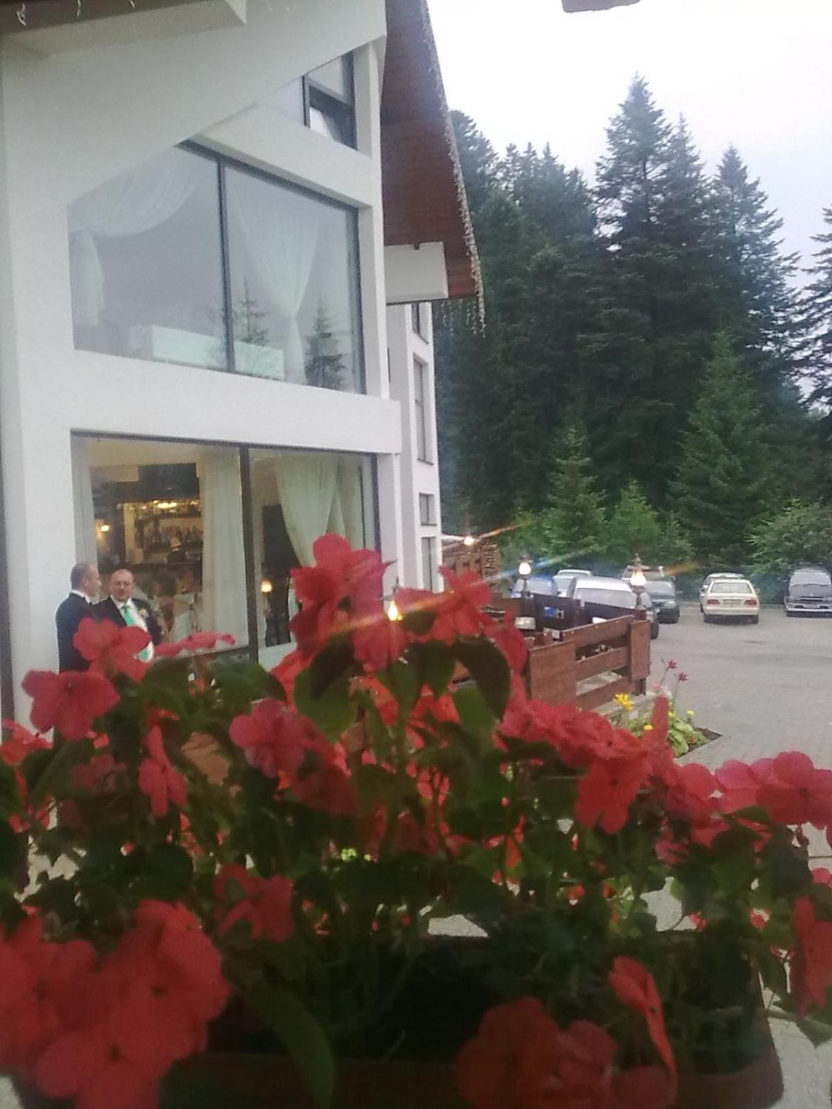 Pension Perla Bucovinei Voroneţ Exterior foto